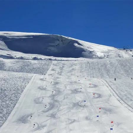 Hotel Petit Palais 3*