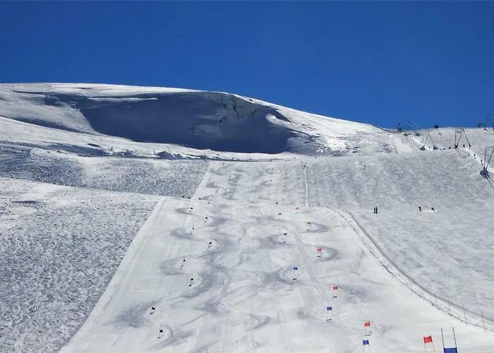 Hotel Petit Palais 3*